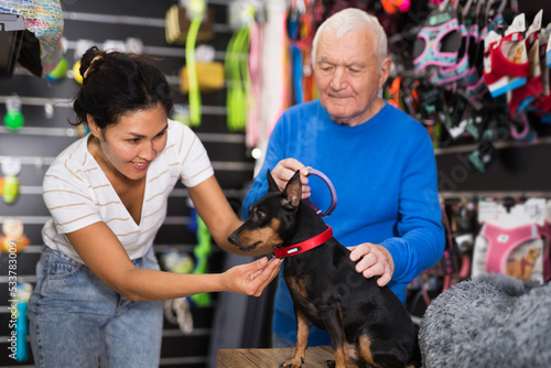 Woman helping an elderly man to choose collar for a dog © JackF