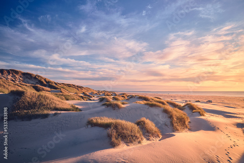 Fotografie, Tablou Sunset at the wide Dunes of northern Denmark. High quality photo