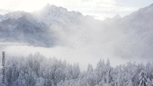 Aerial shot of winter forest and mountains covered in snow, morning fog, frozen forest