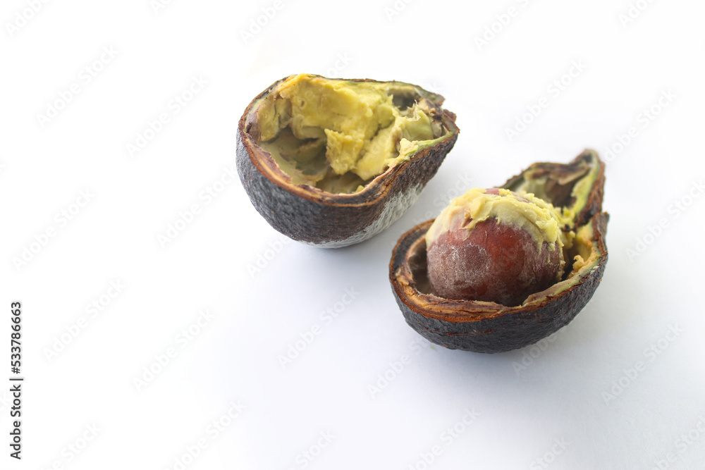 Rotten avocado with mold split in half. The avocado is spoiled. Rotten avocado fruit on white background. Rotten avocado with mold split in half. The avocado is spoiled. Rotten avocado fruit on white background.