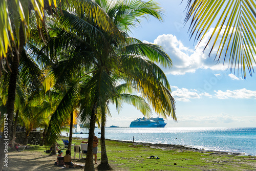 Dense palm foliage against a cloudy sky. View from the shore overgrown with palm trees to the cruise liners in the sea. Green tropical beach on the island, silhouettes of ships.