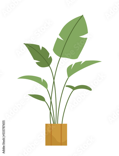 Home plant icon. Green flowers and large leaves. Exotic and tropical foliage. Botany and Floristics. Love for nature and environment. Poster or banner for website. Cartoon flat vector illustration