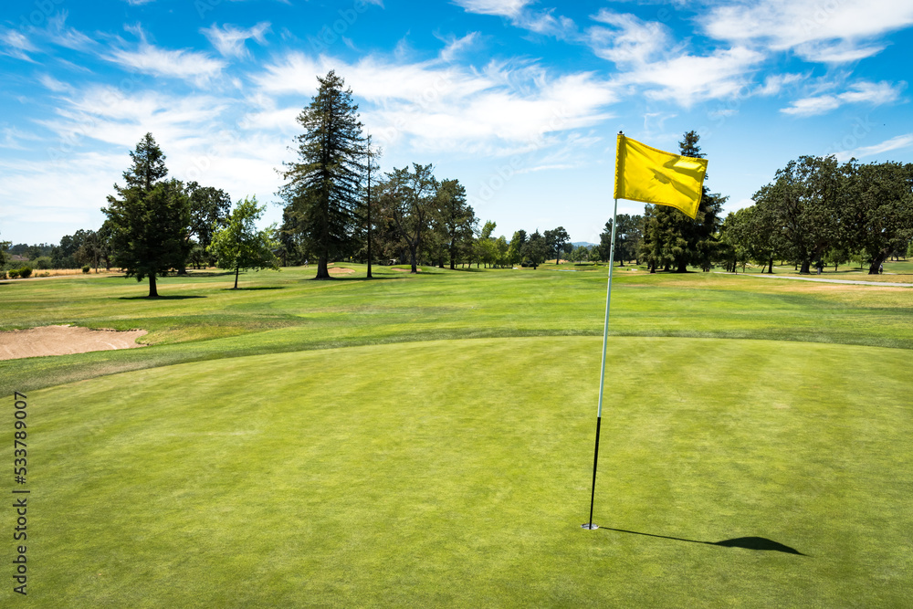 Obraz premium Golf Green with Yellow Flag