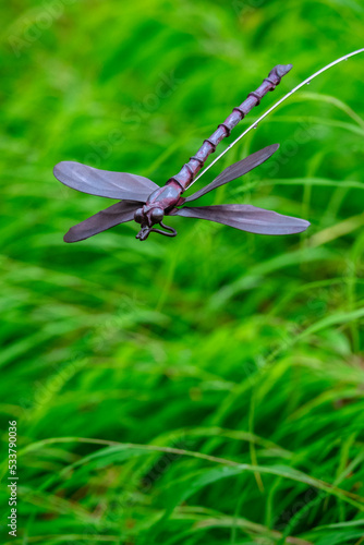 Metal dragonfly garden ornament