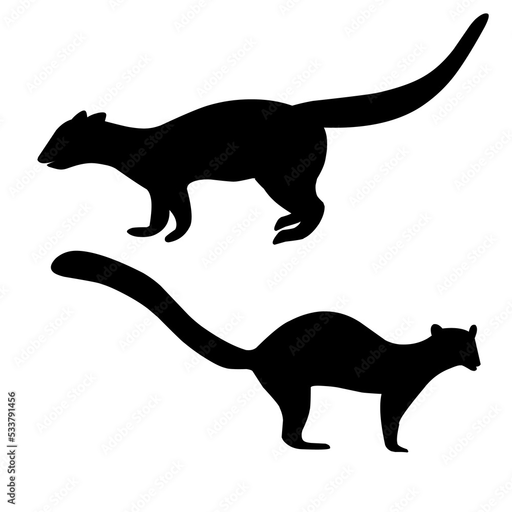 Marten group silhouette. Forest weasel. Isolated on a white background