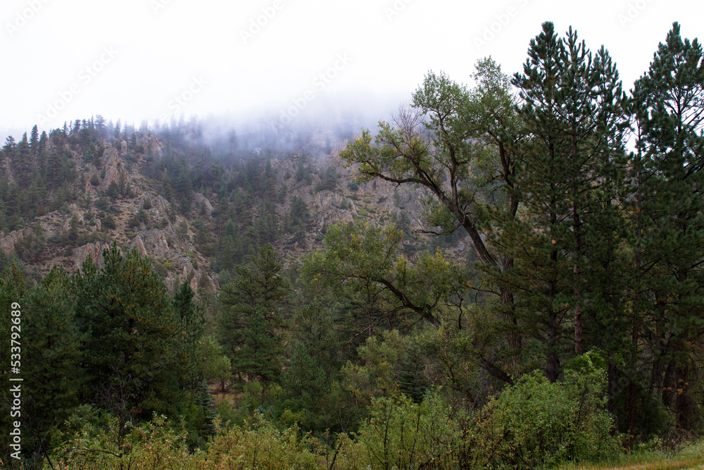 Cache La Poudre Wild and Scenic River Valley in Colorado on a stormy, overcast day Cache La Poudre Wild and Scenic River Valley in Colorado on a stormy, overcast day