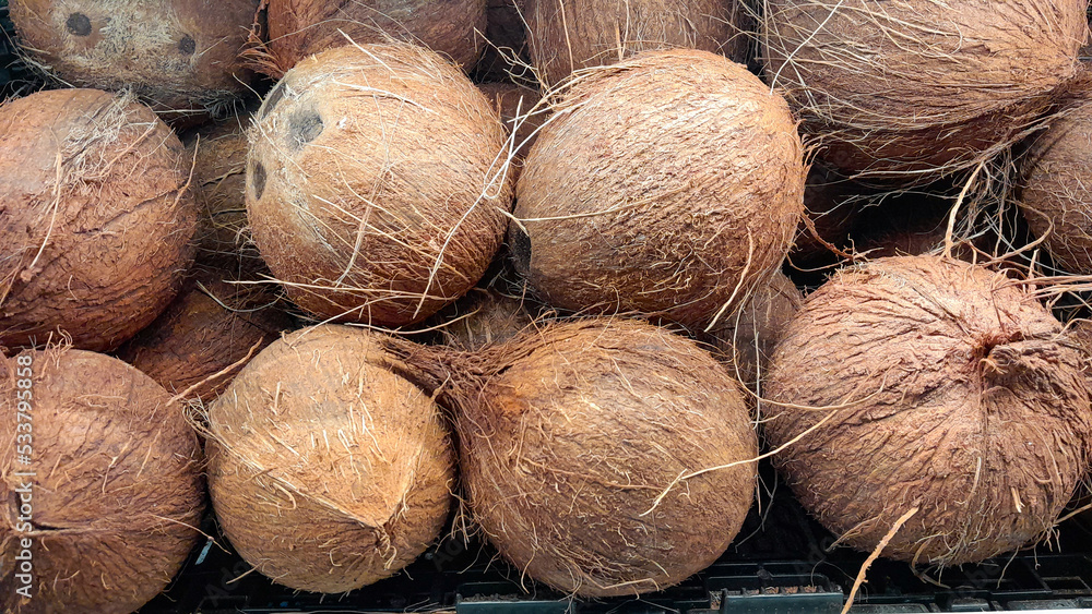 pile of coconuts on the gondola of the super market pile of coconuts on the gondola of the super market