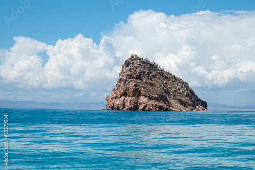 Baja California, Mexico. Sea of Cortez. Island.