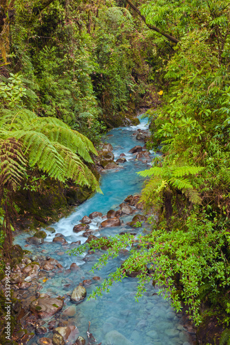 Small stream or creek, Costa Rica