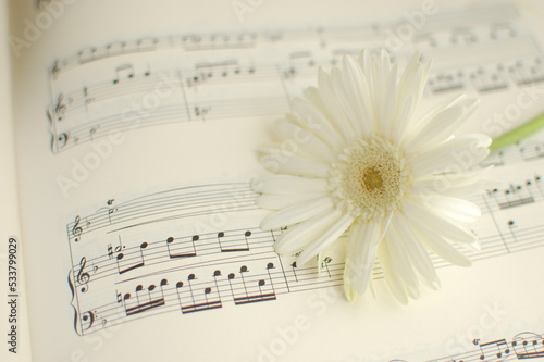 楽譜と花