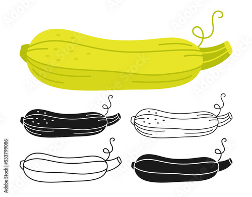 Zucchini cartoon linear icon set, doodle style, engraving silhouette. Symbol fresh vegetable marrow, organic oblong squash. Festival harvest agricultural hand drawn vegetable, courgette kitchen vector