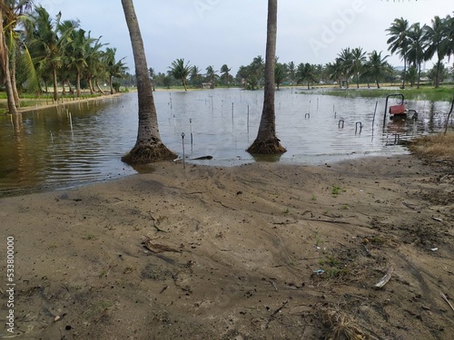 flood in agricultural land