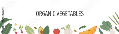 Landscape banner with different colorful vegetables for farmers market menu design. Header with healthy food. Frame or border with various organic local products template. Vector flat illustration.