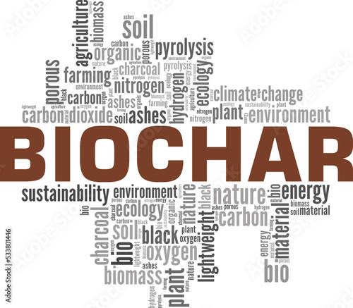 Biochar word cloud conceptual design isolated on white background.
