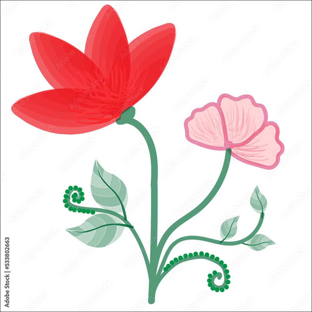 illustration of flower illustration of flower