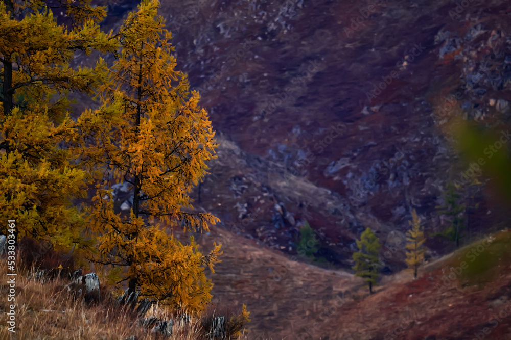 wallpaper autumn landscape mountain altai, freedom romantic trip wallpaper autumn landscape mountain altai, freedom romantic trip