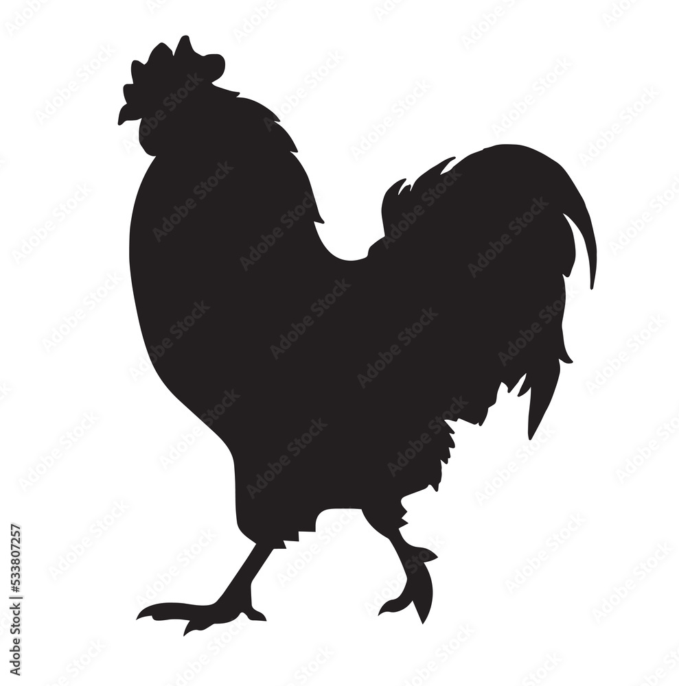 Vector illustration of a black cock silhouette. Rooster side views Isolated white background. Vector illustration of a black cock silhouette. Rooster side views Isolated white background.