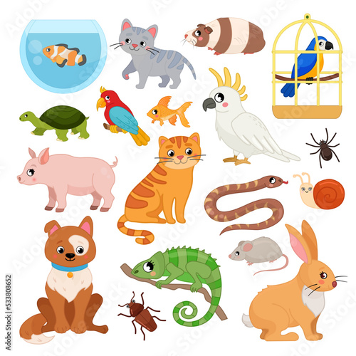 Vector set of pets. Cartoon cute illustrations of dog, cat, parrot, guinea pig and other pets.
