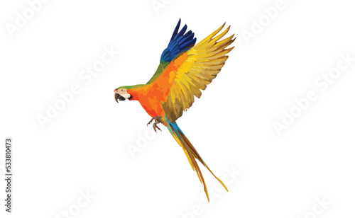 Colorful macaw parrot flying isolated on white. Vector illustration