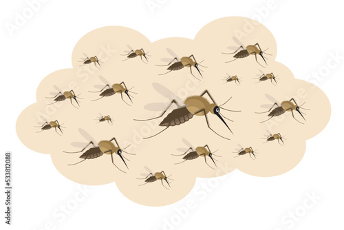 Mosquito vector. Mosquitoes bite humans. Flying insect illustration. Malaria plague insects