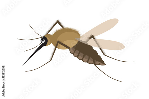 Mosquito vector. Mosquitoes bite humans. Flying insect illustration. Malaria plague insects