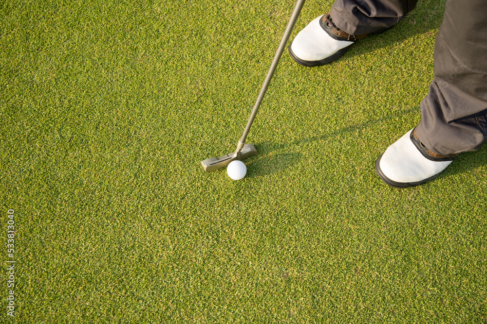golfer putting a golf ball into a last hole on the green, golf course