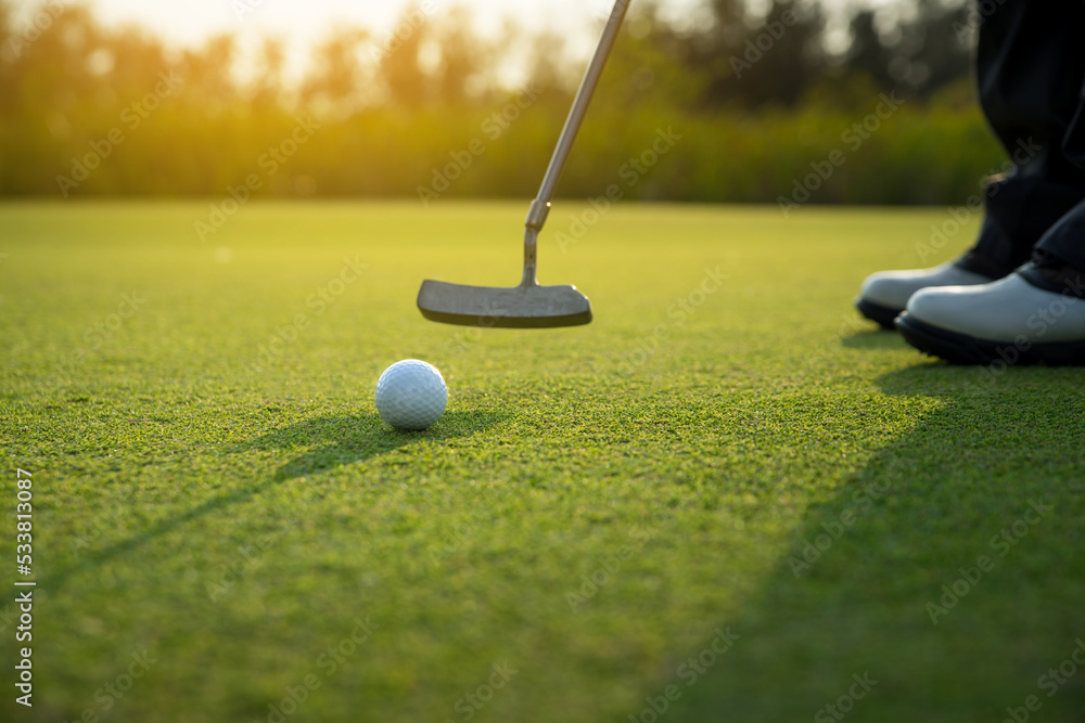 golfer putting a golf ball into a last hole on the green, golf course