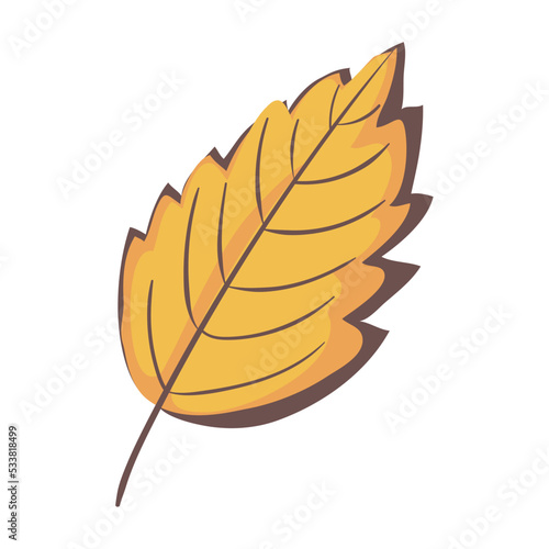 yellow autum leaf