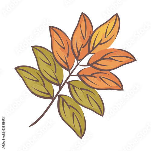 dry leaves design
