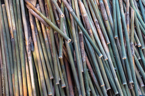A very large pile of small bamboo, which will later be made into various crafts such as children's toys, straws, flutes, and others, the production process is done manually by local craftsmen	