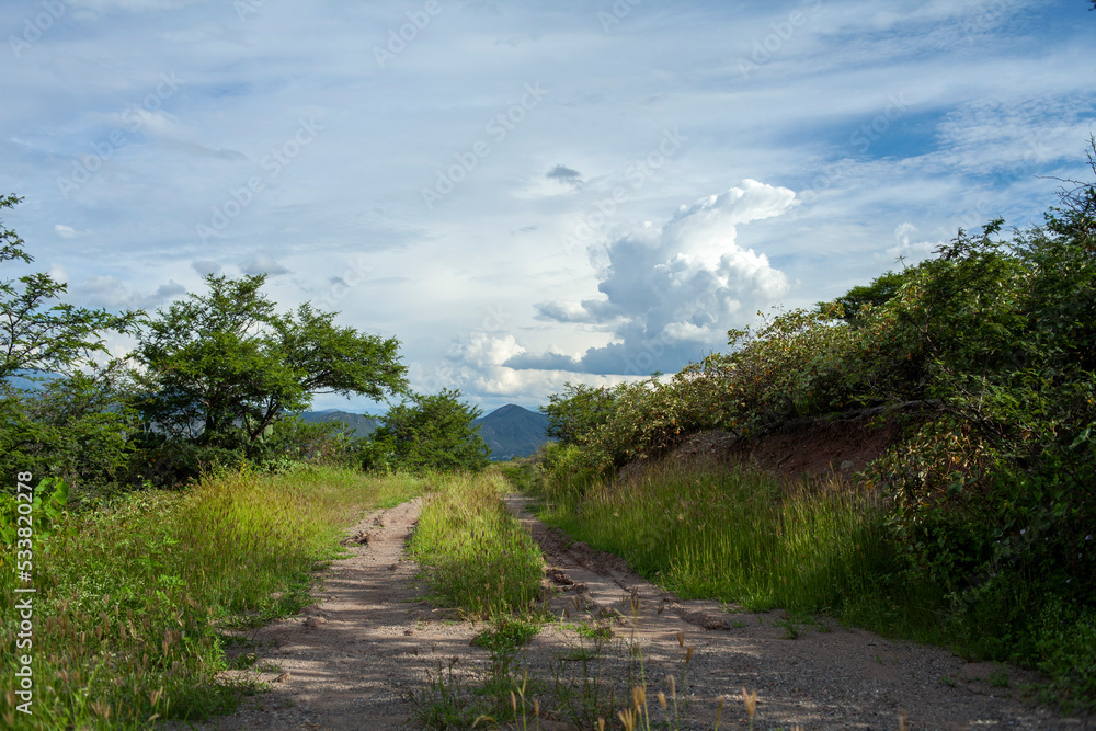 landscape of dirt road with andes mountains in loja ecuador during golden hour