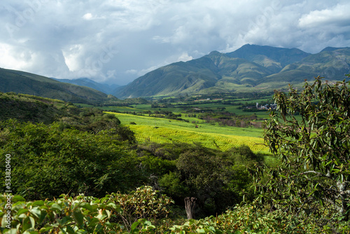 landscape of sugar cane plantations green mountains in loja, ecuador