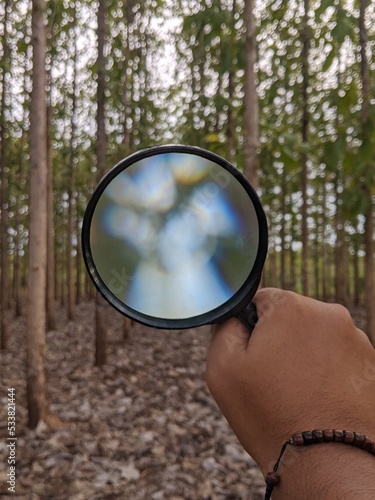 magnifying glass with forest background