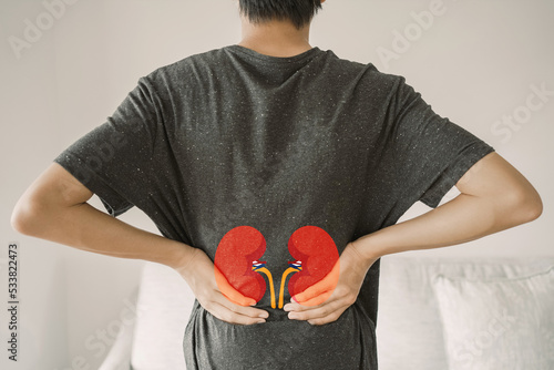 Back view of young man suffering from lower back pain with kidney shape, chronic kidney disease, renal failure concept photo