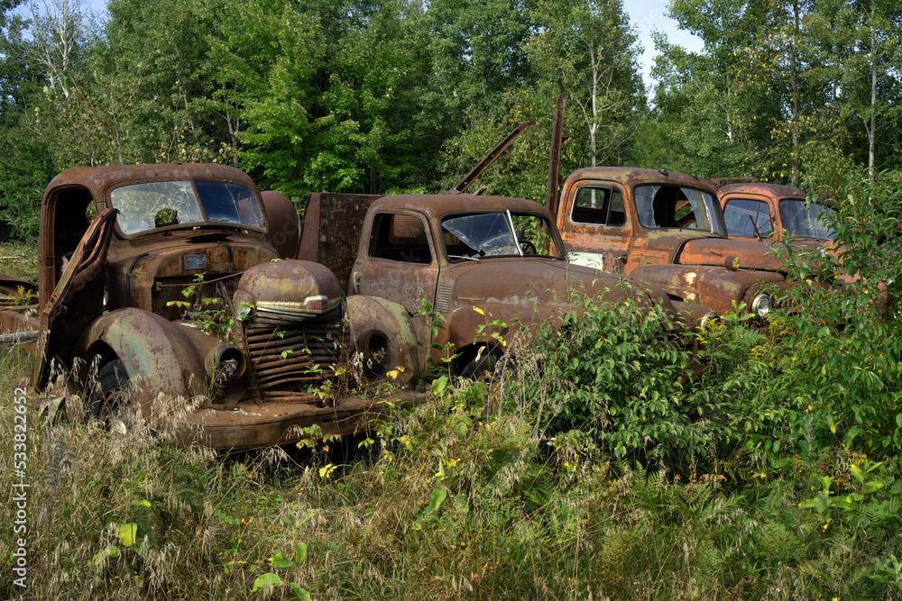 Abandoned, rusting logging trucks in an overgrown field by the side of the road Abandoned, rusting logging trucks in an overgrown field by the side of the road
