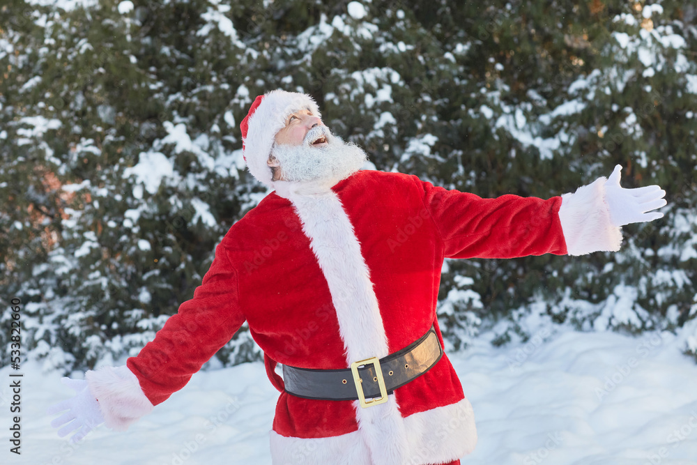 Waist up portrait of traditional Santa Claus enjoying winter forest outdoors with arms out Waist up portrait of traditional Santa Claus enjoying winter forest outdoors with arms out