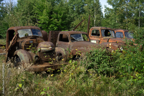 Abandoned, rusting logging trucks in an overgrown field by the side of the road