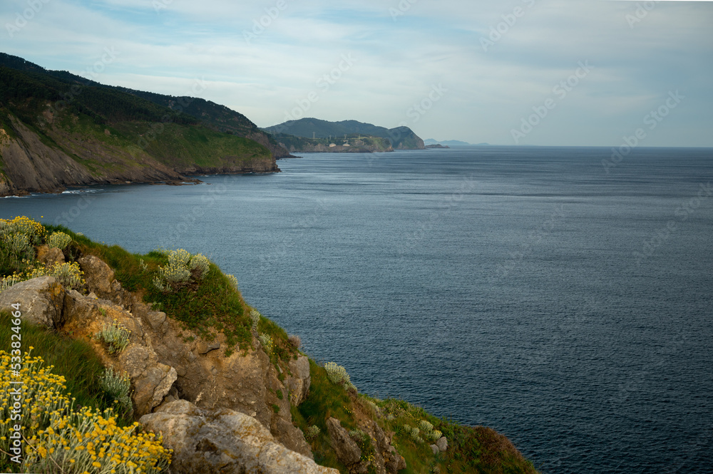 Cliffs and green pastures,Atlantic ocean bay near Bakio, small touristic village, Basque Country, Spain