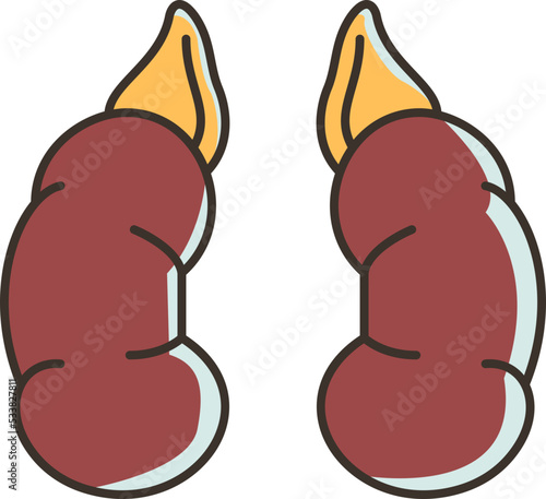 Adrenal line icon
