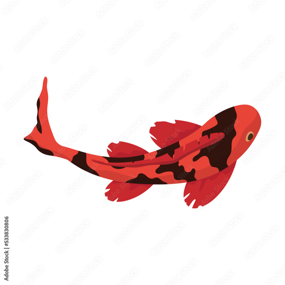 Cartoon koi carp vector illustration. Red fish swimming in water ...