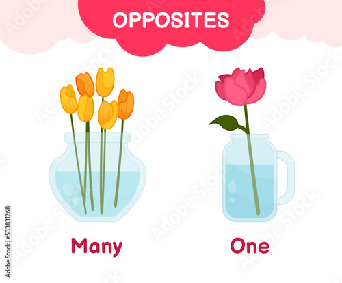 Vector learning material for kids opposites one many. Cartoon illustrations of one flower in a vase and many flowers in a vase.

