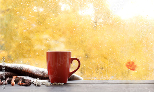 red mug and a plaid against the background of a window with an autumn landscape. cozy atmosphere with warm coffee