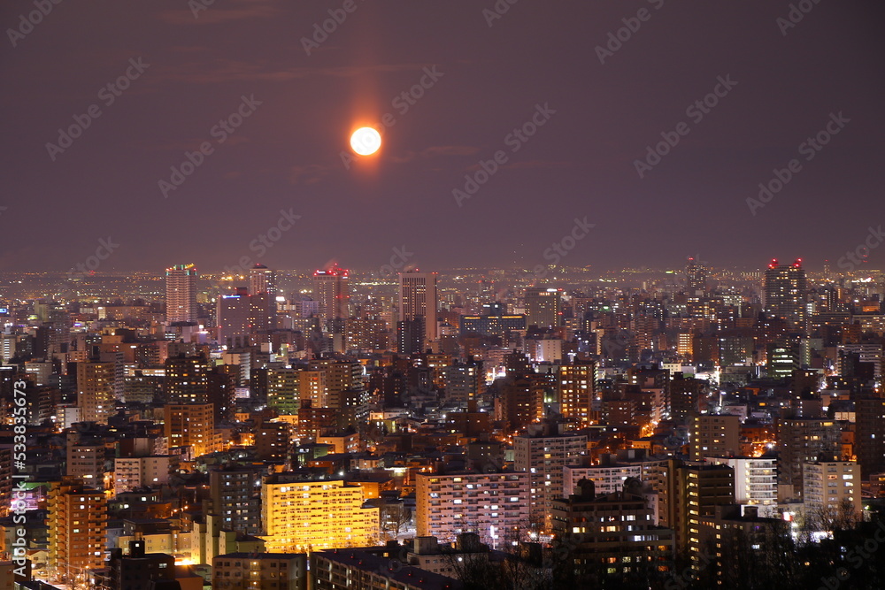 冬の旭山記念公園の夜景