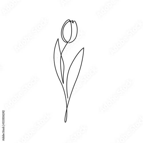 Continuous Line Drawing Of Tulip Flower Black Sketch Isolated on White Background. Tulip Flower One Line Illustration. Minimalist Botanical Drawing. Vector EPS 10.