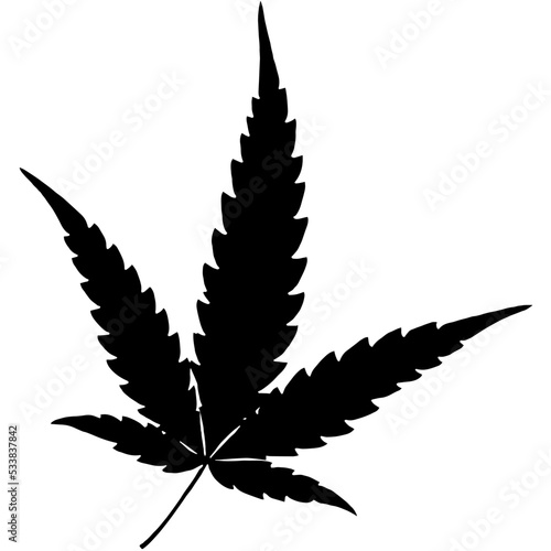 cannabis leaf vector illustration
