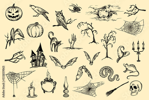 Set of vector Halloween hand drawn elements in sketch style. Collection of black and white objects. © natality