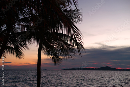Palm tree silhouette on sea sunset pink background. © anya babii