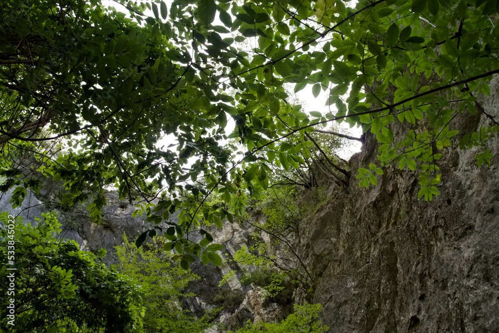 Rocce e vegetazione lungo il sentiero da Pieia all'arco di fondarca nelle marche Rocce e vegetazione lungo il sentiero da Pieia all'arco di fondarca nelle marche