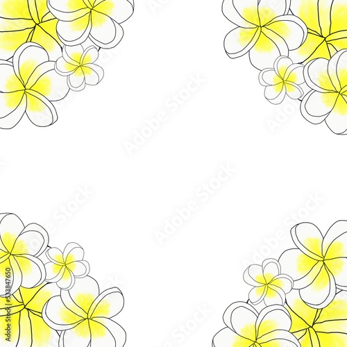 flowers frame