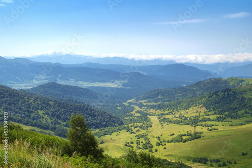 Fototapeta Naklejka Na Ścianę i Meble -  Landscape in green meadows, trees and mountain